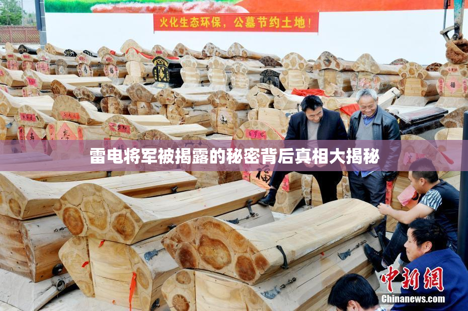 雷电将军被揭露的秘密背后真相大揭秘