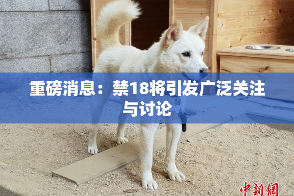 重磅消息：禁18将引发广泛关注与讨论