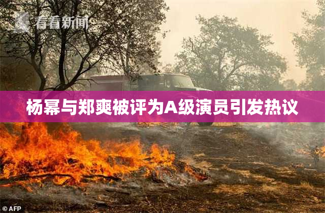 杨幂与郑爽被评为A级演员引发热议