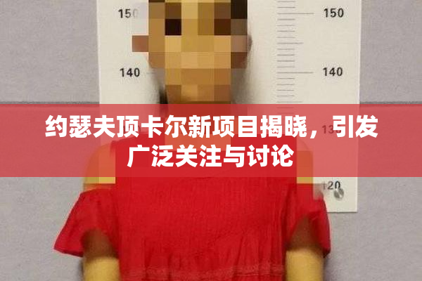 约瑟夫顶卡尔新项目揭晓，引发广泛关注与讨论