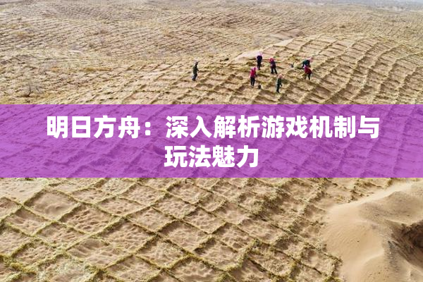 明日方舟：深入解析游戏机制与玩法魅力