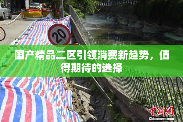 国产精品二区引领消费新趋势，值得期待的选择