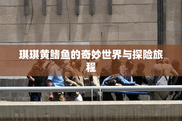 琪琪黄鳍鱼的奇妙世界与探险旅程
