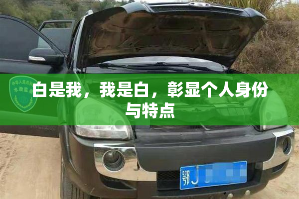 白是我，我是白，彰显个人身份与特点