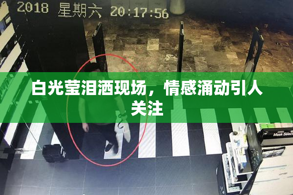 白光莹泪洒现场，情感涌动引人关注