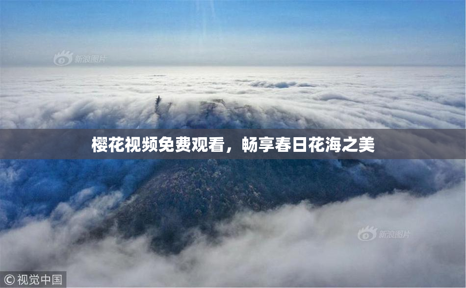 樱花视频免费观看，畅享春日花海之美