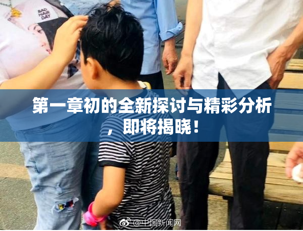第一章初的全新探讨与精彩分析，即将揭晓！