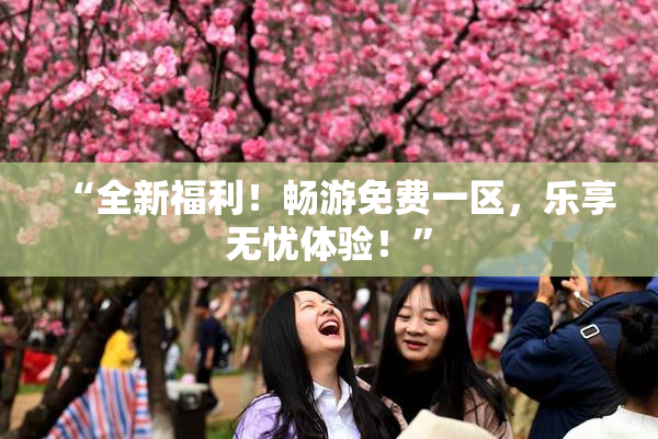 “全新福利！畅游免费一区，乐享无忧体验！”