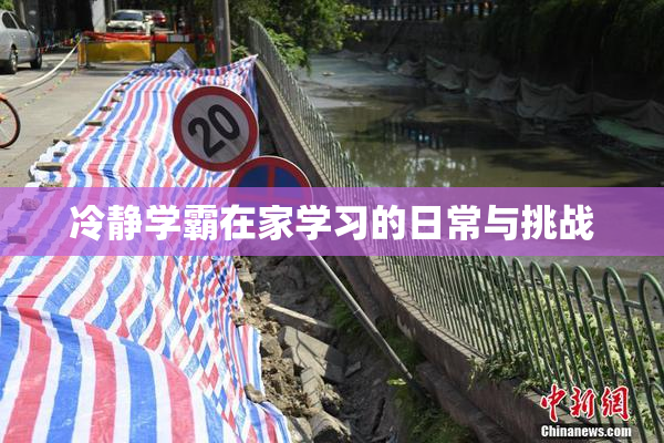 冷静学霸在家学习的日常与挑战
