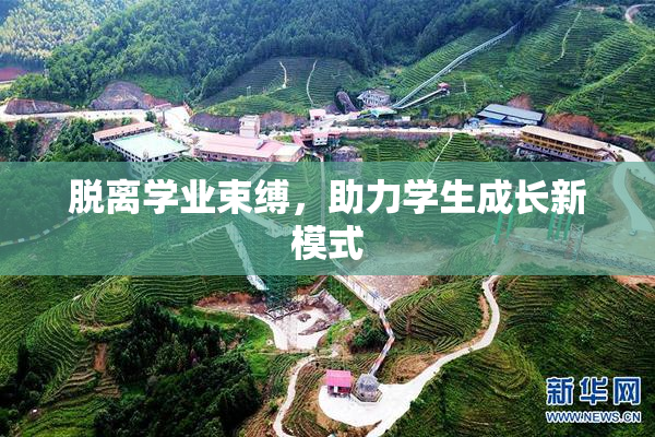 脱离学业束缚，助力学生成长新模式