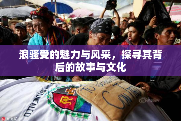 浪骚受的魅力与风采，探寻其背后的故事与文化