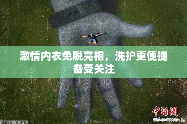 激情内衣免脱亮相，洗护更便捷备受关注