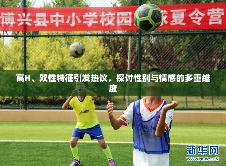 高H、双性特征引发热议，探讨性别与情感的多重维度