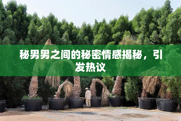 秘男男之间的秘密情感揭秘，引发热议