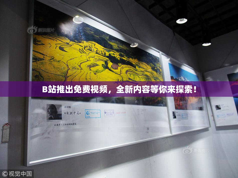B站推出免费视频，全新内容等你来探索！