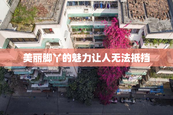 美丽脚丫的魅力让人无法抵挡