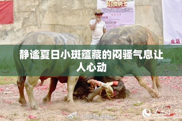 静谧夏日小斑蕴藏的闷骚气息让人心动