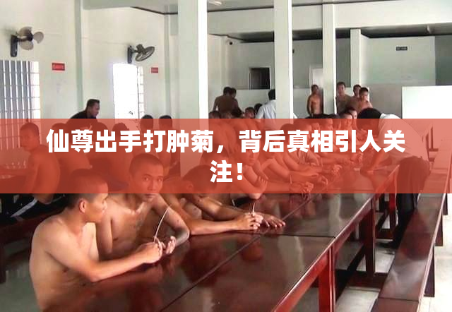 仙尊出手打肿菊，背后真相引人关注！