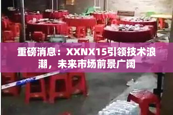 重磅消息：XXNX15引领技术浪潮，未来市场前景广阔
