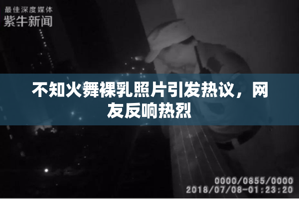 不知火舞裸乳照片引发热议，网友反响热烈