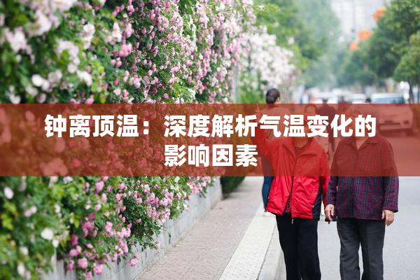 钟离顶温：深度解析气温变化的影响因素