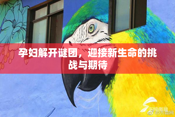 孕妇解开谜团，迎接新生命的挑战与期待