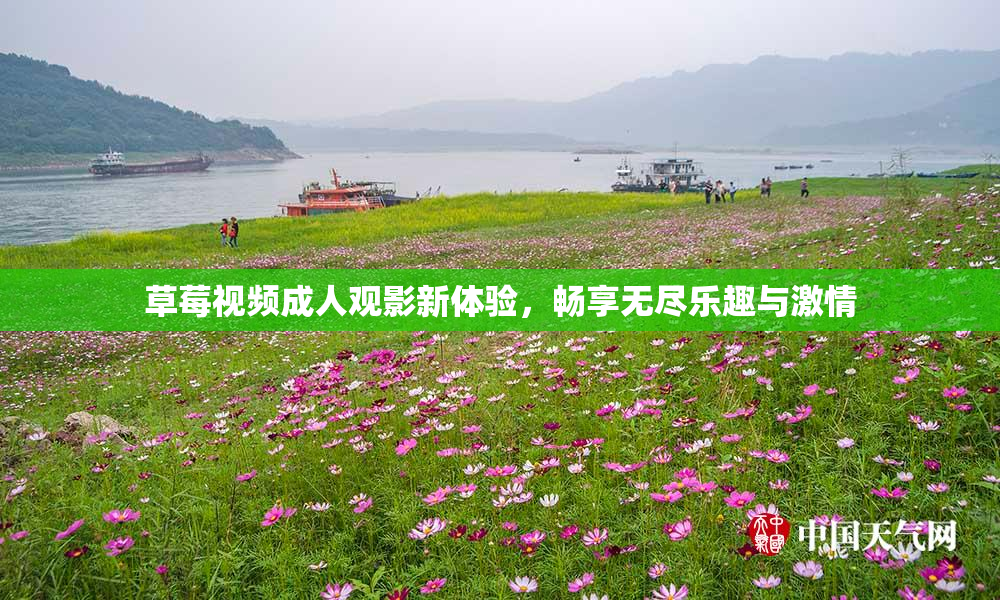 草莓视频成人观影新体验，畅享无尽乐趣与激情