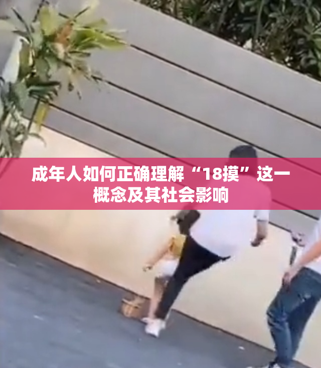 成年人如何正确理解“18摸”这一概念及其社会影响