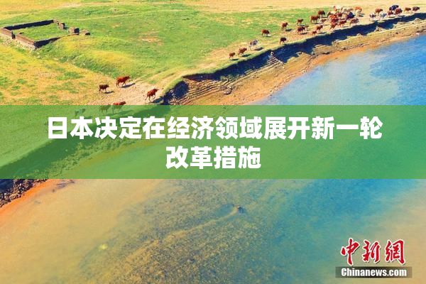 日本决定在经济领域展开新一轮改革措施