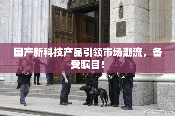 国产新科技产品引领市场潮流，备受瞩目！