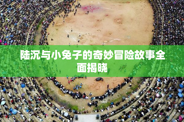 陆沉与小兔子的奇妙冒险故事全面揭晓