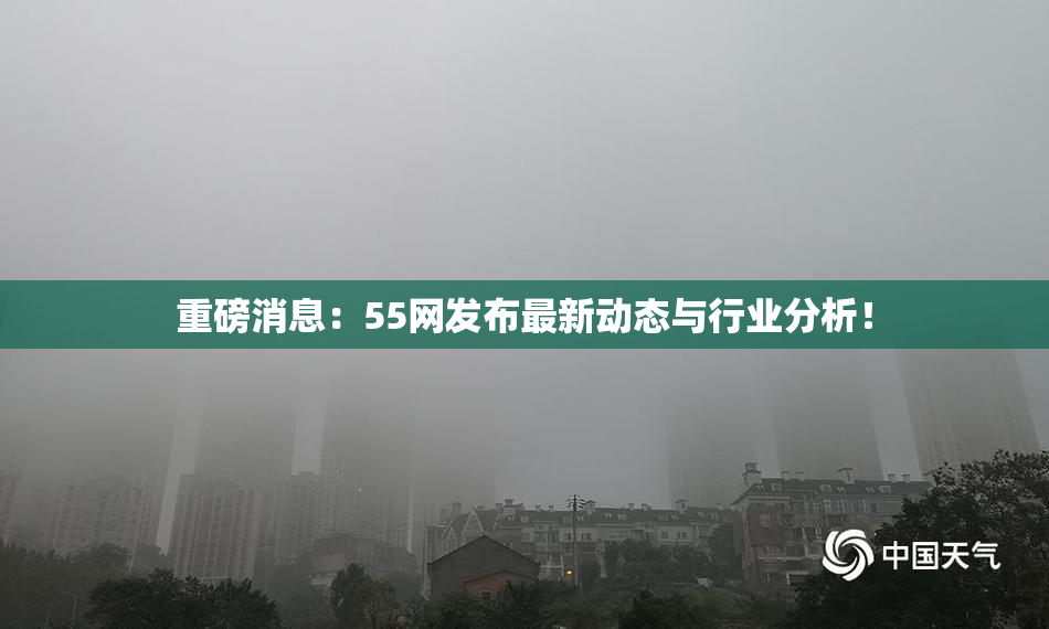 重磅消息：55网发布最新动态与行业分析！