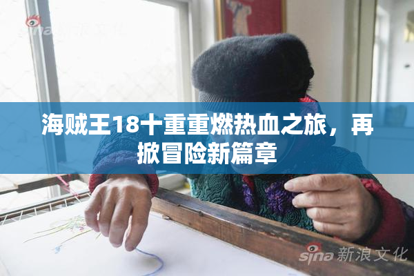 海贼王18十重重燃热血之旅，再掀冒险新篇章