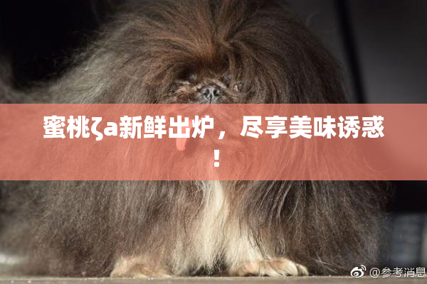 蜜桃ζa新鲜出炉，尽享美味诱惑！