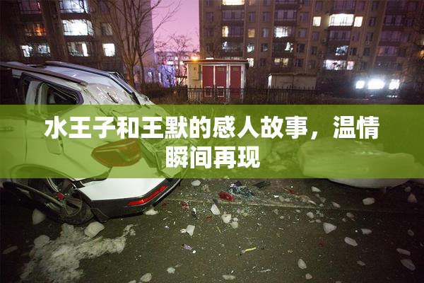 水王子和王默的感人故事，温情瞬间再现
