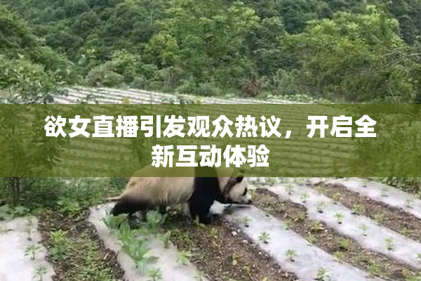 欲女直播引发观众热议，开启全新互动体验