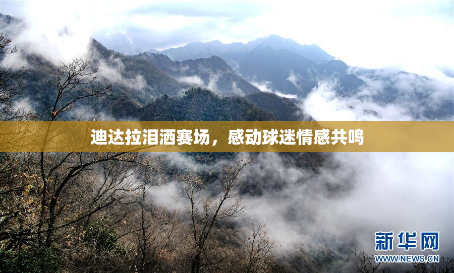 迪达拉泪洒赛场，感动球迷情感共鸣