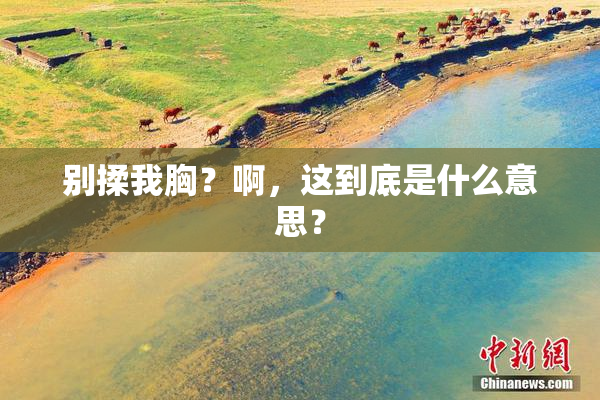 别揉我胸？啊，这到底是什么意思？
