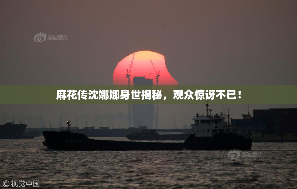 麻花传沈娜娜身世揭秘，观众惊讶不已！