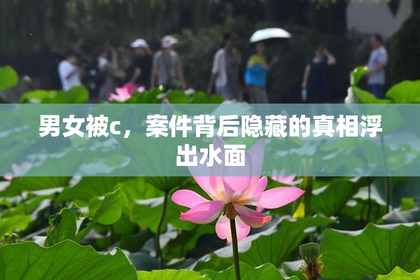男女被c，案件背后隐藏的真相浮出水面