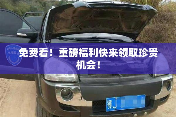 免费看！重磅福利快来领取珍贵机会！