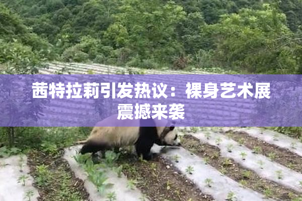 茜特拉莉引发热议：裸身艺术展震撼来袭