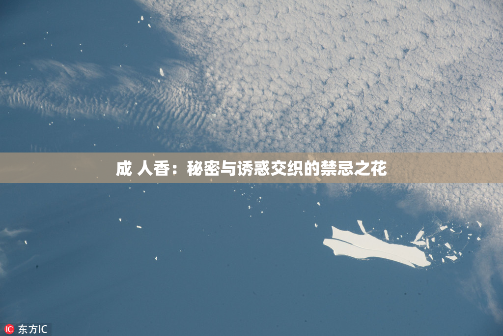 成 人香：秘密与诱惑交织的禁忌之花