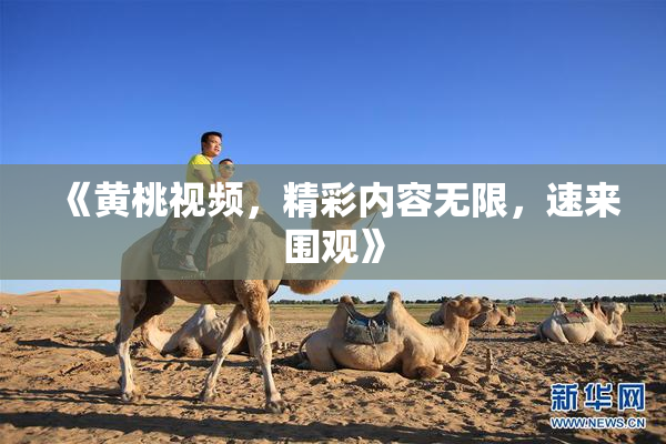 《黄桃视频，精彩内容无限，速来围观》