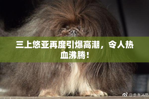 三上悠亚再度引爆高潮，令人热血沸腾！