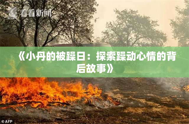 《小丹的被躁日：探索躁动心情的背后故事》