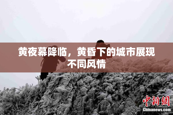 黄夜幕降临，黄昏下的城市展现不同风情