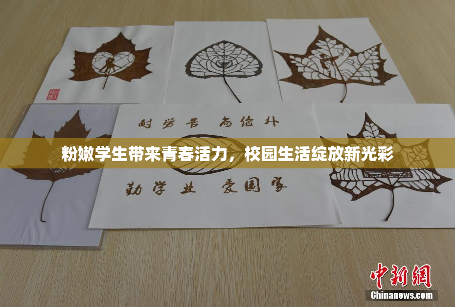 粉嫩学生带来青春活力，校园生活绽放新光彩