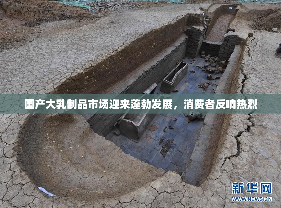 国产大乳制品市场迎来蓬勃发展，消费者反响热烈
