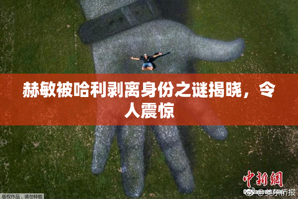 赫敏被哈利剥离身份之谜揭晓，令人震惊
